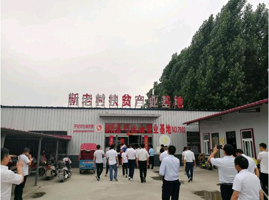mansion88明升